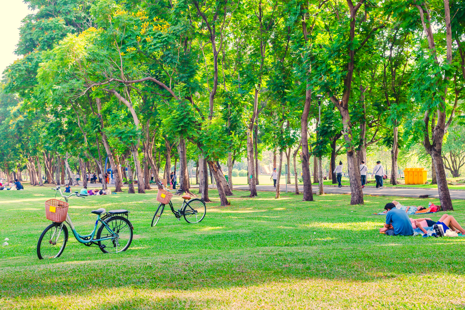 03-ความท้าทายในการสร้างพื้นที่สีเขียวในกรุงเทพ 1