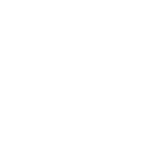 icon-10